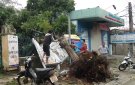 Gió lốc và mưa đá đã gây thiệt hại nặng nề tại huyện Ngọc Lặc, ước tính lên đến 17 tỷ đồng